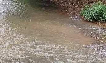 Imagem: Chácara em Trindade