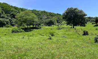 Imagem 4: Fazenda 63 alqueire