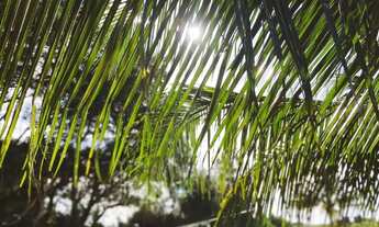 Imagem 3: CASA POR TEMPORADA