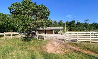 Imagem: Sítio com casa de alvenaria BR 174