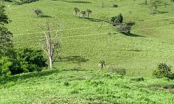 Imagem 4: Fazenda a venda em Ipameri Goiás!!!