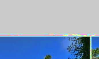 Imagem 3: Aluguel carnaval