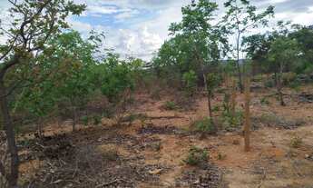 Imagem 3: Chácara 1000 m², excelente oportunidade