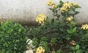 Imagem 4: Apartamento em Rua Dona Vitória Yunes Stefano - Enseada - Guarujá/SP