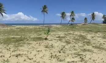 Imagem 2: Aluguel terreno beira mar 5.000mil metros camping praia costa azul mangue seco R$4,900,00