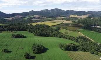 Imagem 7: Terreno Rural com 104.000m², água mineral e natureza em Bateias!