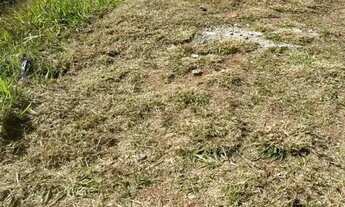 Imagem 5: TERRENO EM CONDOMÍNIO - CONDOMÍNIO HILLS 3 - SP