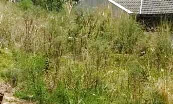 Imagem 3: CAXIAS DO SUL - Terreno Padrão - MONTE BÉRICO