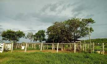 Imagem: FAZENDINHA 48 HECTARES (10 ALQUERES) SAIDA
