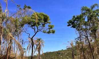 Imagem 4: HE Terrenos lindos para chácaras em Atibaia!