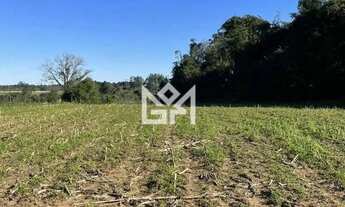 Imagem 2: Casa à venda no bairro Parque Itacolomi em Gravataí com 25.000m² de área total