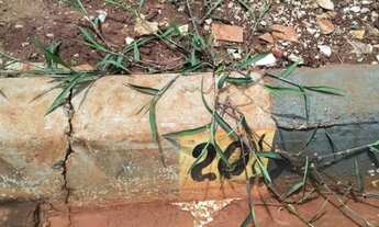 Imagem 2: Terreno Bella cravinhos 2