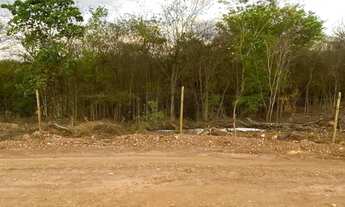 Imagem 2: Chácara de esquina 10km do trevo de Juramento