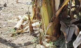 Imagem 4: Venda Terreno Enseada Jacaraipe- Serra - ES