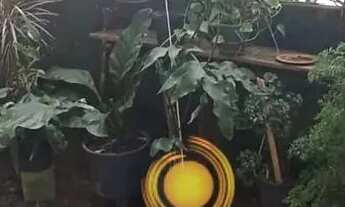 Imagem 7: Sobrado 3 quartos à venda Baln. Pontal do Sul - Pontal do Paraná/PR