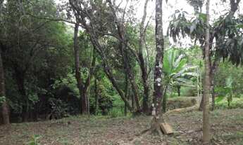 Imagem 6: Maravilho Sitio de 5.000 m², Jaboticatubas (temos varias opções)