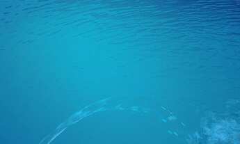 Imagem 5: SÍTIO COM QUADRA DE FUTEVÔLEI