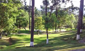 Imagem 2: Chácara em Campo Largo, com 48.000m²