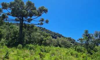 Imagem 3: Terreno/Fazenda/Lote/Francisco Krtiscka Corretor de imóveis