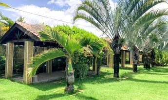 Imagem 6: Haras, 29048 m² - venda por R$ 4.000.000,00 ou aluguel por R$ 14.000,00/mês - Itambé - Cau