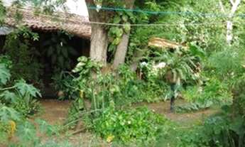 Imagem 4: Terreno com Casa na Atalaia