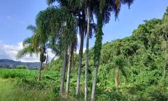 Imagem 3: Lindo terreno com 27 hectares