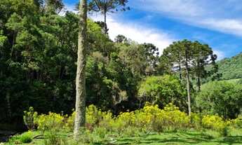 Imagem 2: Fazenda/Sítio/Chácara Krtiscka Corretor de Imóveis