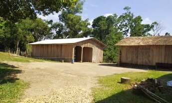 Imagem 6: Chácara com 40000 metros Casa cercada área para plantio, Perfeita!