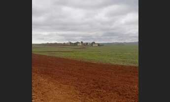 Imagem 7: Fazenda Município Ipameri - GO