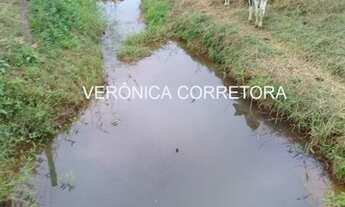 Imagem 6: Sitio venda em Goianá MG 50.000 m 2