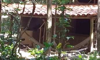 Imagem 3: Projeto Agro Ecológico Jardim Do Adam