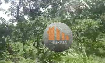 Imagem 4: Fazenda à venda, 1.480 alqueires por R$ 51.800.000 - Araguapaz/GO