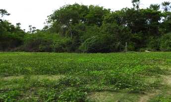 Imagem 4: Fazenda em Cascavel na margem do Rio Choró