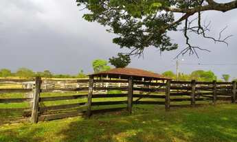 Imagem 4: Fazenda - Professor Jamil (GO