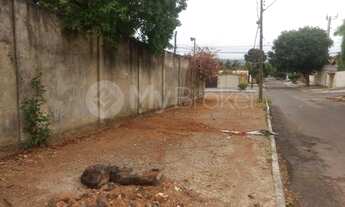 Imagem: Goiânia - Terreno Padrão - Vila Osvaldo