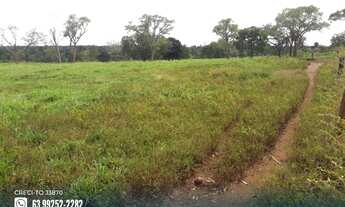 Imagem 2: Fazenda com dupla aptidão na região de Goianorte - TO