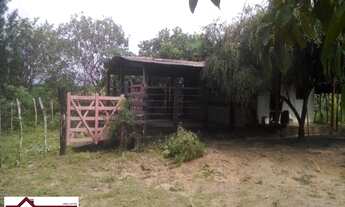 Imagem 2: SITIOMata de São João