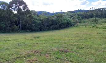 Imagem 6: Chácara Muniz R.210.000