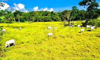 Imagem: Ubaitaba - Fazenda - Zona Rural de Ubaitaba