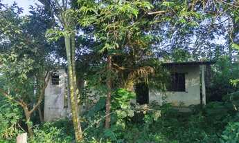 Imagem 7: Micro chacrinha 350 mts 47 mil reais 1,5 km centro