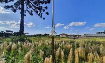 Imagem 7: CAMPO LARGO - Terreno Padrão - Lagoa