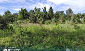 Imagem 2: Fazenda com potencial para agricultura no Pium-TO