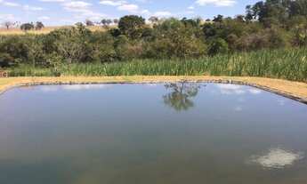 Imagem 7: Chácara para venda com 10.000 metros2,casa nova com 2quartos rica em água a 4 kms de Bela