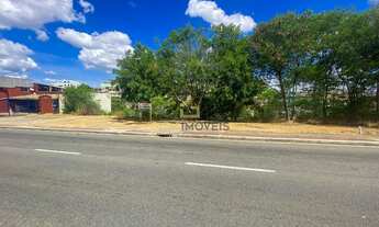 Imagem 5: Lote com 24 metros de frente para a Av. Alice Coutinho, 648 m² - São Conrado, Cariacica