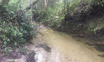 Imagem 2: OPORTUNIDADE - FAZENDA - 30HA - APROX. 12KM DE ALTO PARAÍSO SENTIDO SÃO JORGE - ESCRITURA