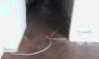 Imagem 5: Loja, Vila Deodoro, São Paulo, Cod: 5783