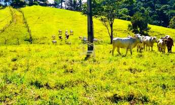 Imagem 6: Ubaitaba - Fazenda - Zona Rural de Ubaitaba
