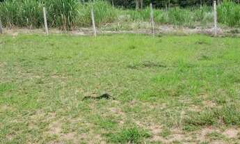 Imagem 3: ótimo terreno urbano em avencas