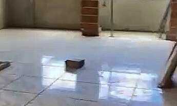 Imagem 4: Apartamento Novo no Álvaro Weyne, Elevador, 2 Quartos, R$ 182.200,00