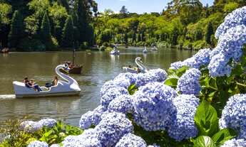 Imagem 7: Gramado - Apartamento Padrão - Dutra